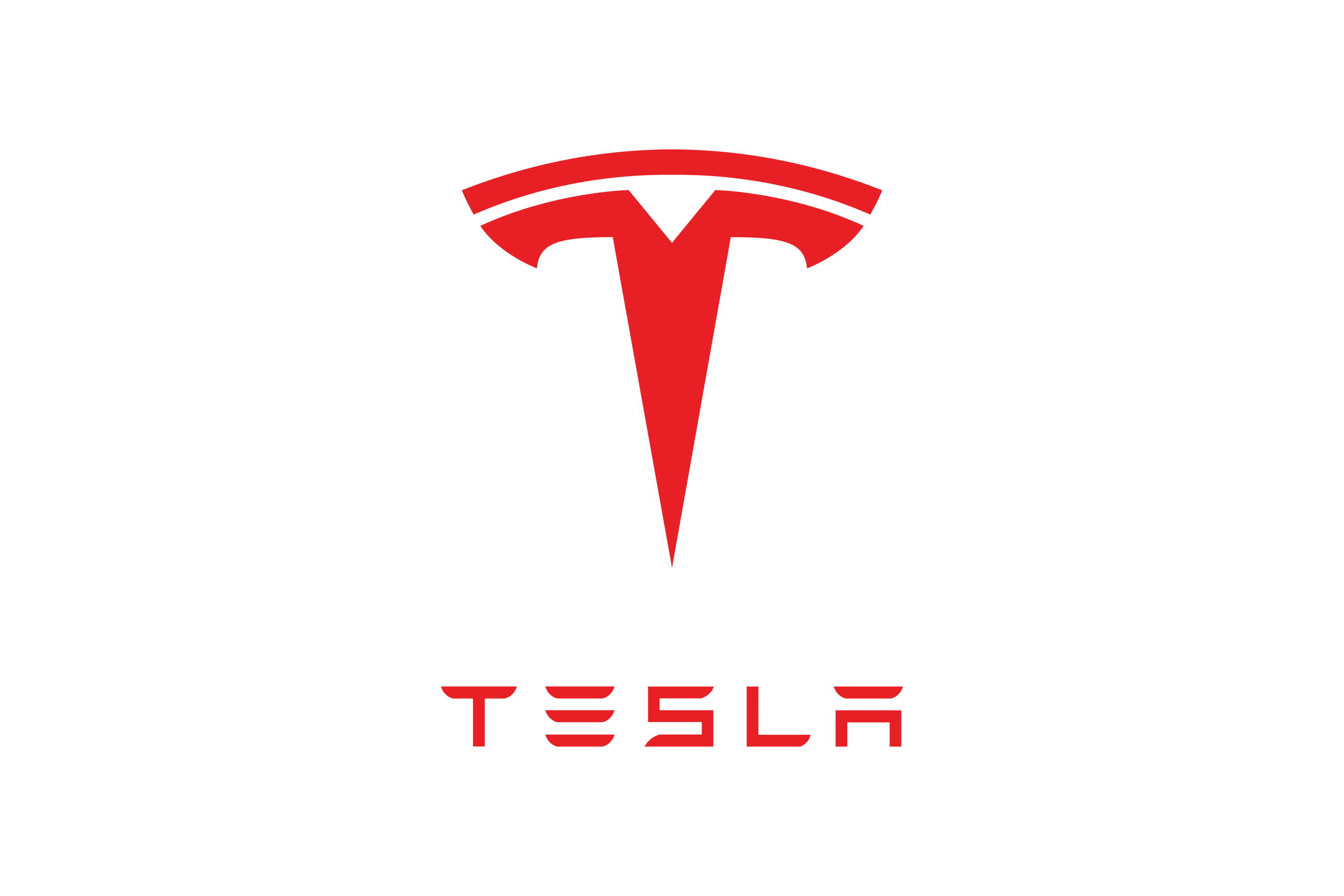 Tesla Calls logo